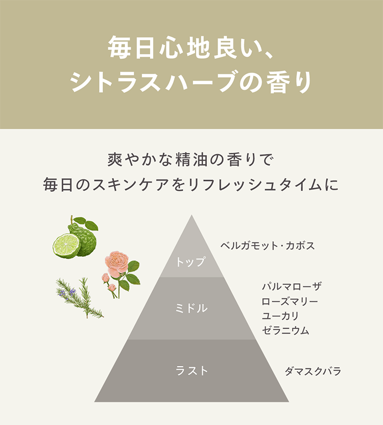 毎日心地良い、
シトラスハーブの香り