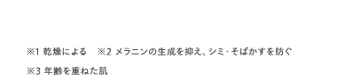 ※1 乾燥による ※2 メラニンの生成を抑え、シミ・そばかすを防ぐ
※3 年齢を重ねた肌