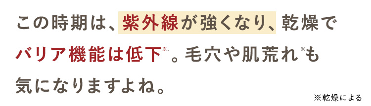 この時期は、紫外線が強くなり、乾燥で
バリア機能は低下”。 毛穴や肌荒れも
気になりますよね。
※乾燥による