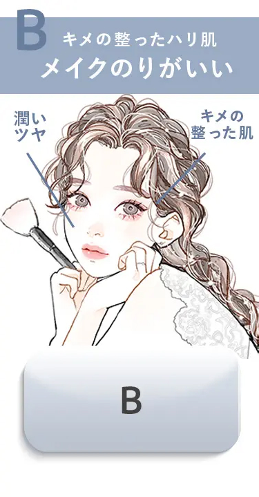 B
キメの整ったハリ肌
潤い
ツヤ
メイクのりがいい
キメの
整った肌
B