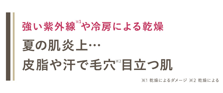※1
強い紫外線や冷房による乾燥
夏の肌炎上･･･
皮脂や汗で毛穴 目立つ肌
※1 乾燥によるダメージ ※2 乾燥による