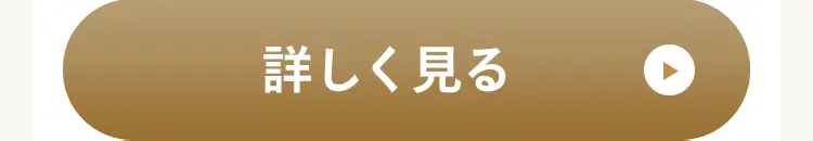 詳しく見る