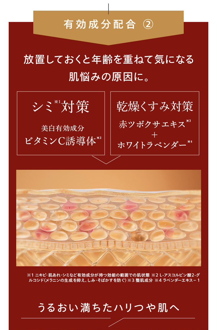 有効成分配合 ②