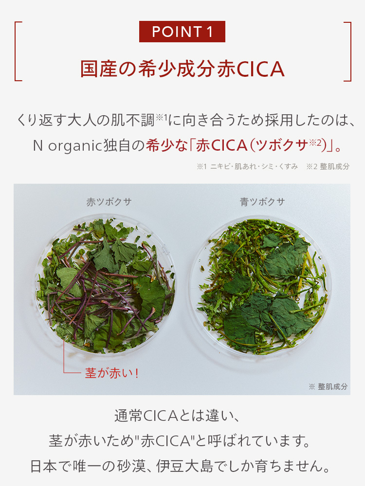 POINT 1
国産の希少成分赤CICA
くり返す大人の肌不調に向き合うため採用したのは、
N organic独自の希少な 「赤CICA (ツボクサ※2)」。
赤ツボクサ
-茎が赤い!
※1 ニキビ・肌あれ・シミ・くすみ 2 整肌成分
青ツボクサ
※整肌成分
通常CICAとは違い、
茎が赤いため"赤CICA"と呼ばれています。
日本で唯一の砂漠、 伊豆大島でしか育ちません。