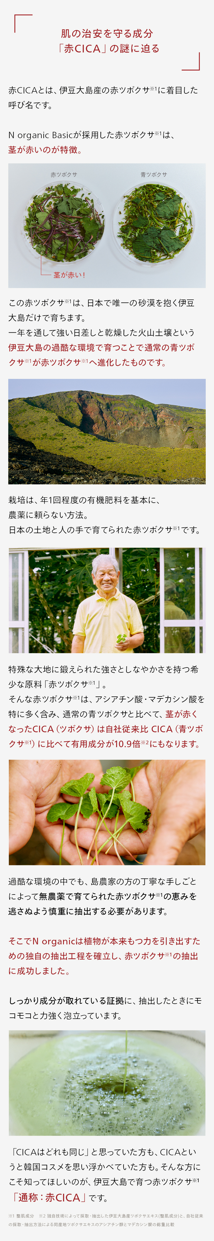 「
肌の治安を守る成分
「赤CICA」 の謎に迫る