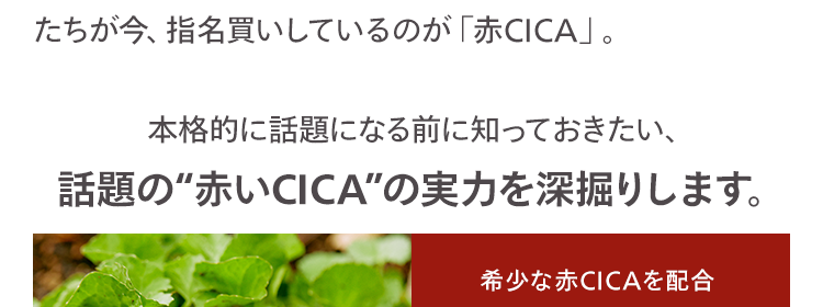 保湿だけじゃ足りない!
大人の肌不調に
「赤CICA」という選択肢