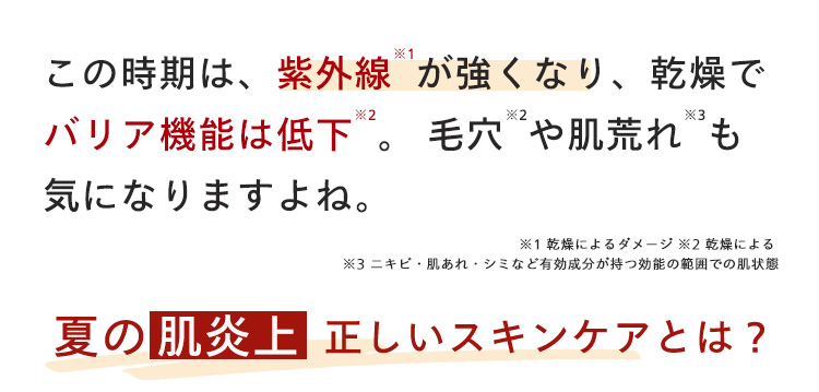 X1
この時期は、紫外線が強くなり、 乾燥で
*2
*2
*3
バリア機能は低下。 毛穴や肌荒れも
気になりますよね。
※1 乾燥によるダメージ 2乾燥による
※3 ニキビ・肌あれ・シミなど有効成分が持つ効能の範囲での肌状態
夏の肌炎上 正しいスキンケアとは?