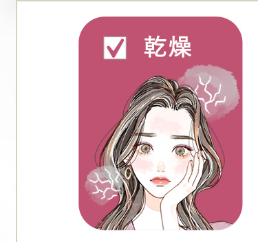 乾燥