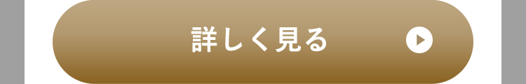 詳しく見る