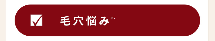 ✓ 毛穴悩み
※2