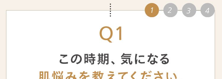 1 2
3 4
Q1
この時期、 気になる
肌悩みを教えてください。
