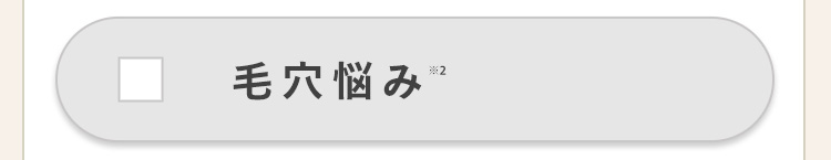 ✓ 毛穴悩み
※2